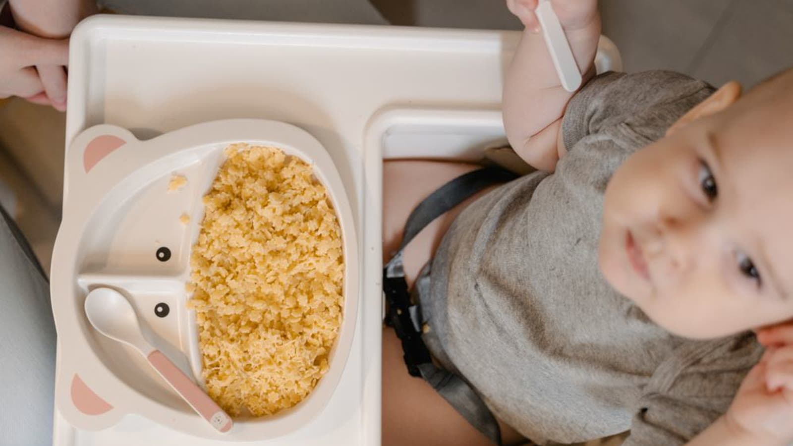 A baby in a high chair with a plate of food